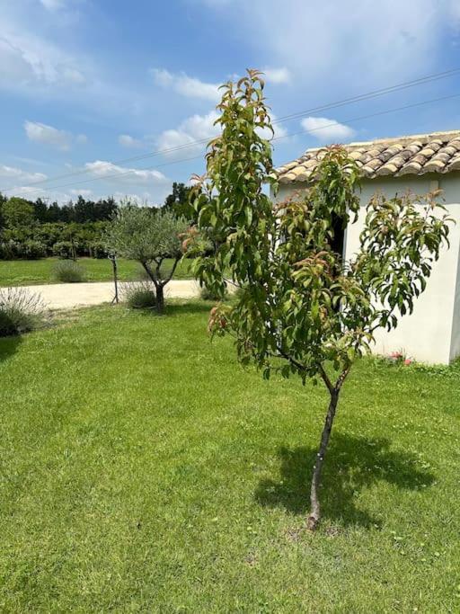 Villa Des Jacinthes Tarascon Exterior foto
